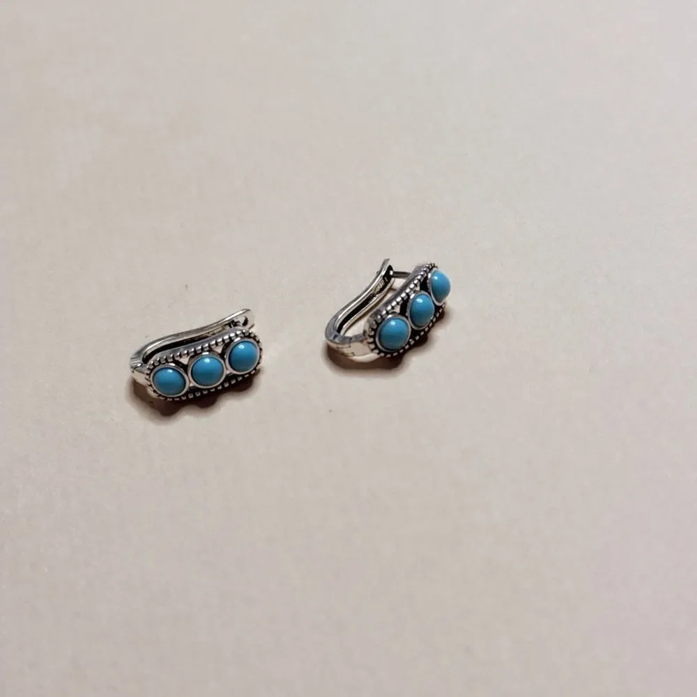 Silver and Blue Hoop Earrings S1009